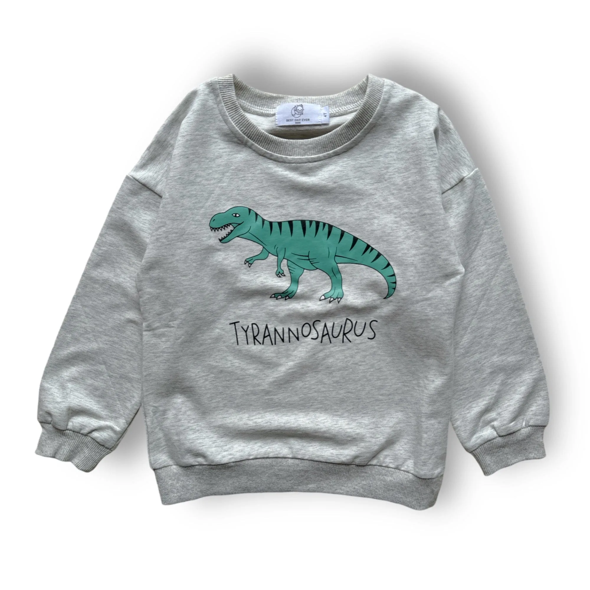 Dino Lover Pullover