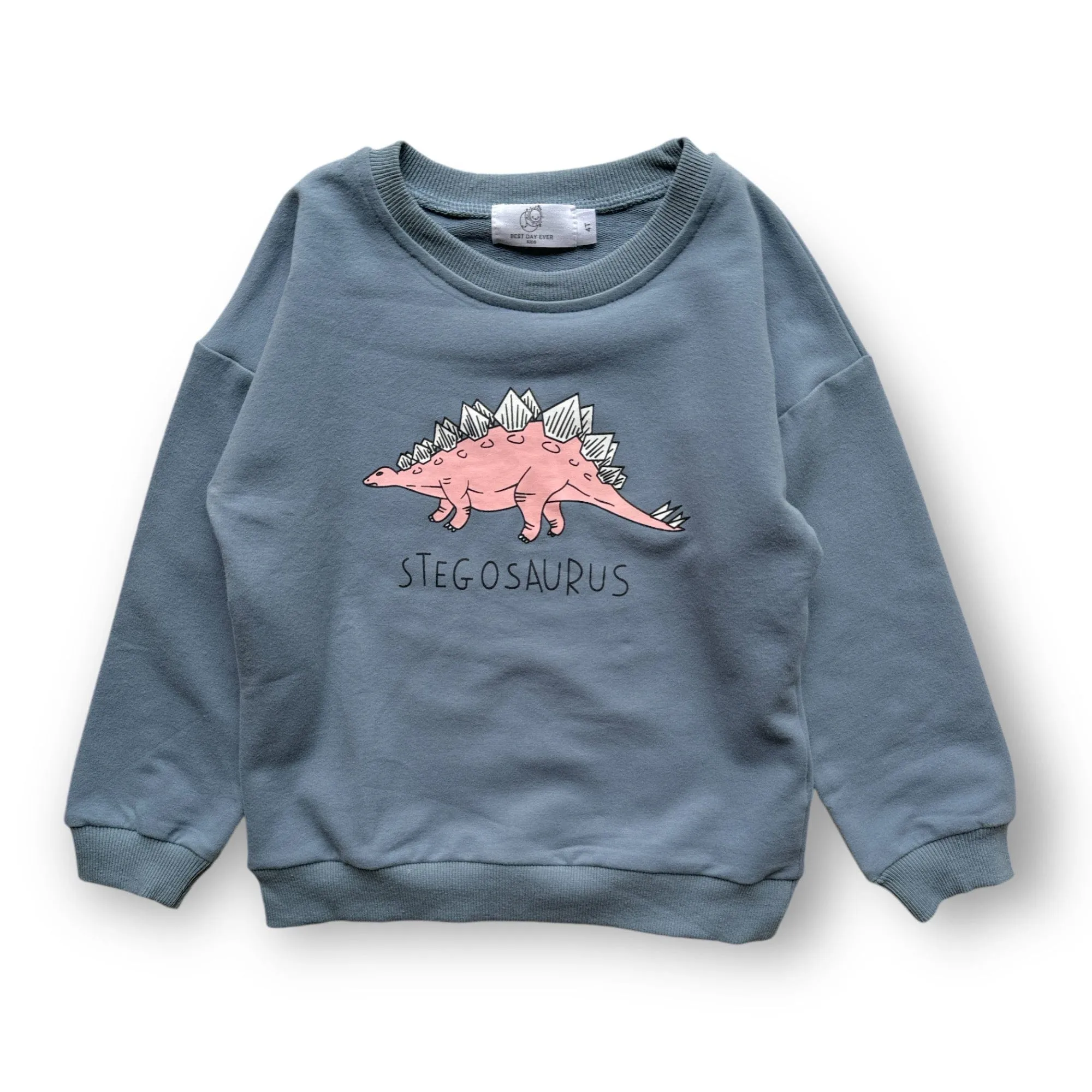 Dino Lover Pullover