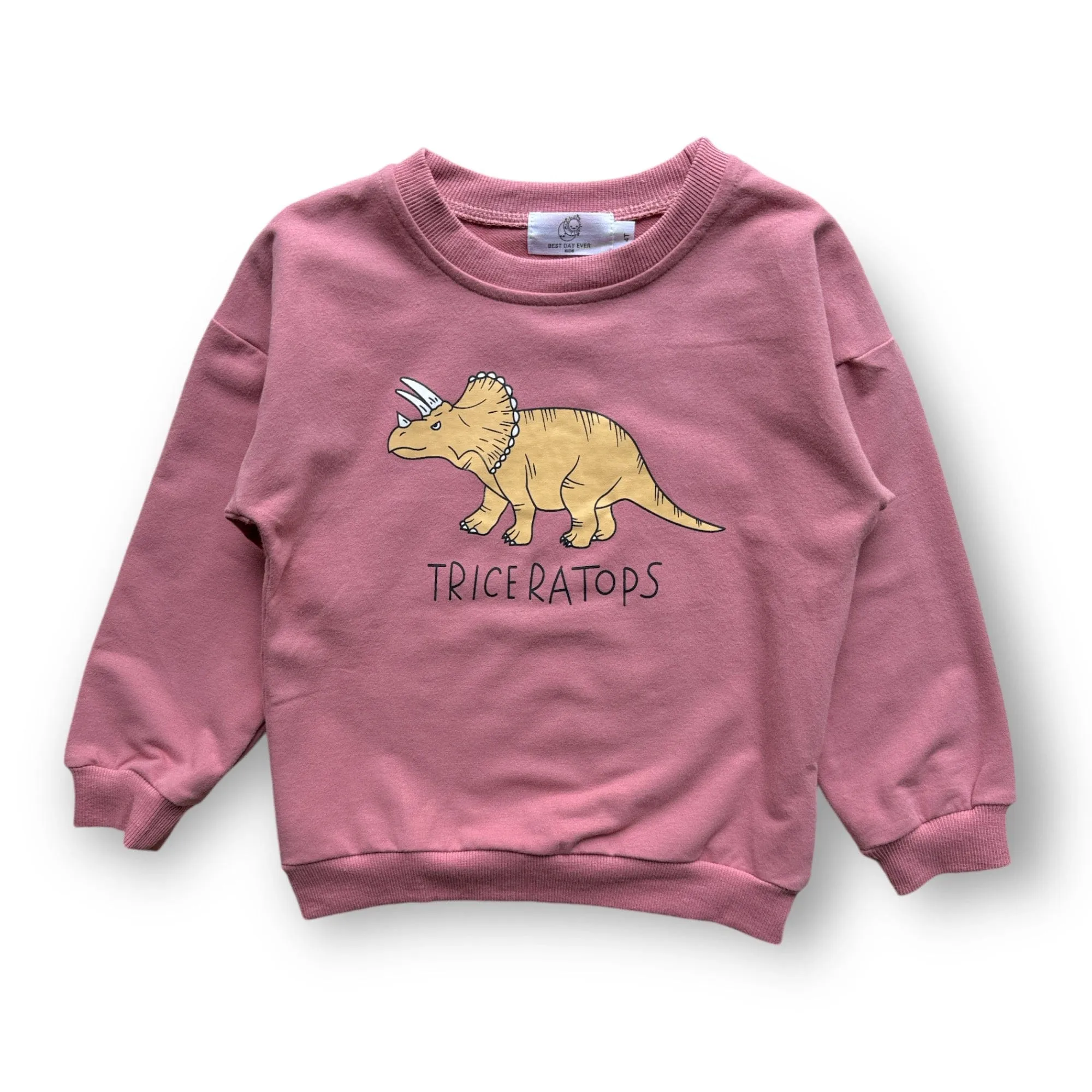 Dino Lover Pullover