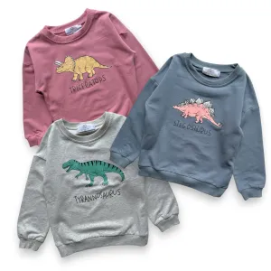 Dino Lover Pullover